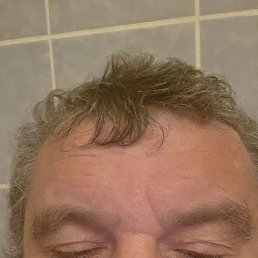 , 47, 