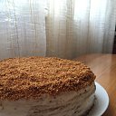 ���� ���, ����������� - ��������� 11 ������� 2023 � ������ ������ ��������