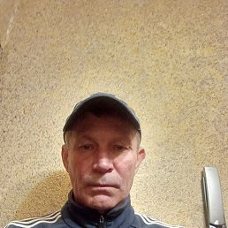 , 52, 