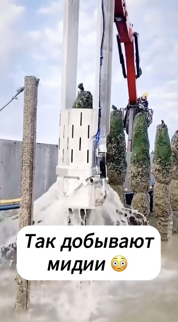  ,   .