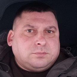 �������, �����-���������, 40 ���