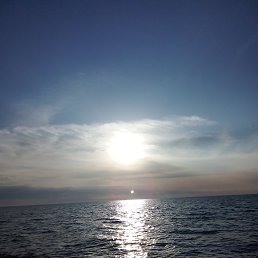 ���� �������, �����������, 63 ���� - ��������� 16 ������ 2023