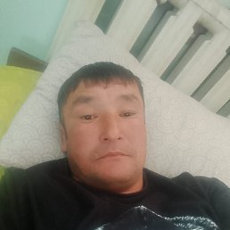 , 37, 