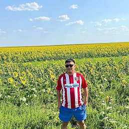 �����, �������