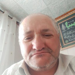 , 44, 