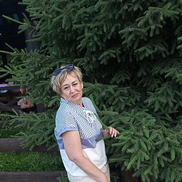 , 60, 