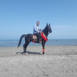 , 47 , 