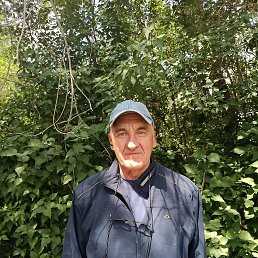 ������, 65 ���, ������������