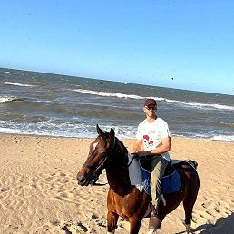 �����, �������, 38 ���