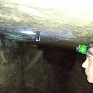 �������, 40 ���, ��������