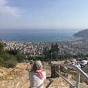 ���� �����, �����-���������, 43 ���� - ��������� 19 ������ 2024