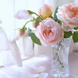 �����, ����������, 48 ���