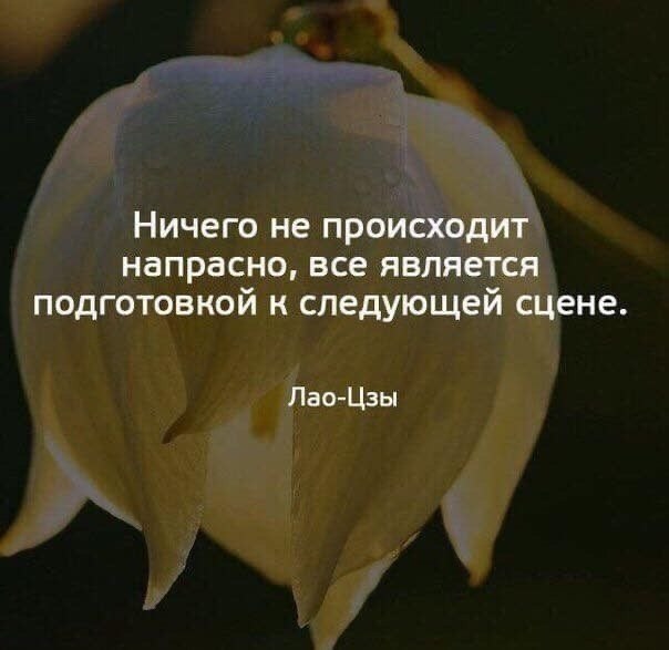   - 14  2025  18:33