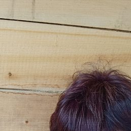, 59, 