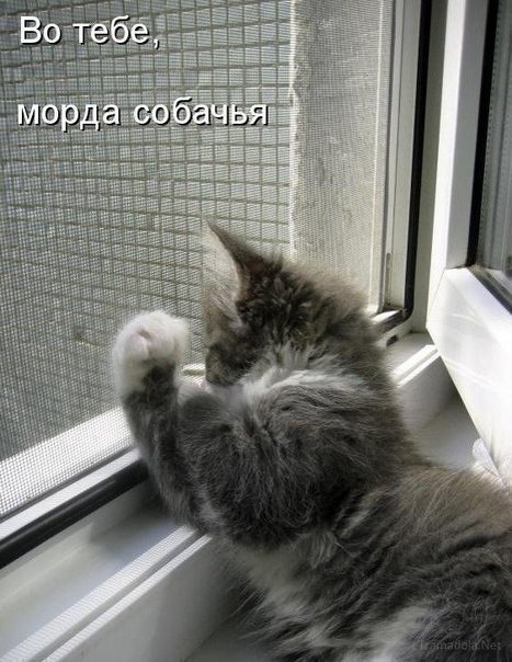   - 14  2025  17:48