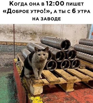   - 22  2025  04:05