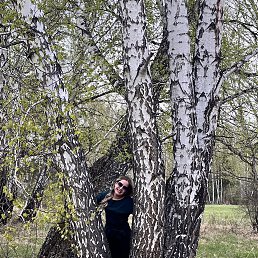 ���������, 37 ���, ����������