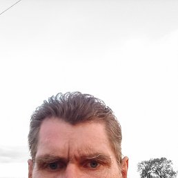 , 51, 