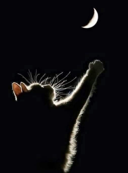 :) В то лето я переехала к мужу. Конечно, был скандал. Мама кричала вдогонку, что я прosтитyтка, и ...
