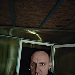 ���� ������, �������������, 46 ��� - ��������� 13 ����� 2026