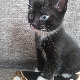 ����, ����������, 22 ����