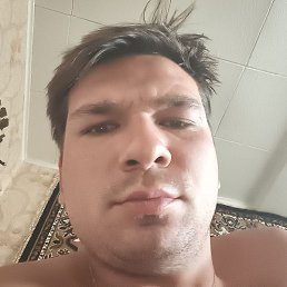 , , 29 