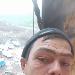 ������, 39 ���, ������