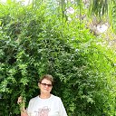 ���� �����, ����������, 66 ��� - ��������� 8 ������ 2025 � ������ ���� ����������