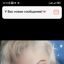 ��������, ���������