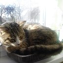 Mo� �����" �����" �������� ��������� � �������.... � ��� ����� ����� ��������� !!!))) �� ������� ������ ��������