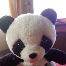 ���� ��������, ������, 47 ��� - ��������� 3 ������ 2023