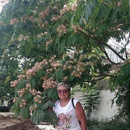 �������, ������, 68 ���