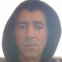 ����, �������, 40 ���