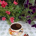 ���� ������, ����������, 57 ��� - ��������� 5 ����� 2025 � ������ ���� ����������