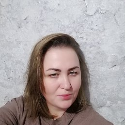 ����, 41 ���, ���������