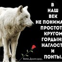 ���� ������, ������, 39 ��� - ��������� 24 ���� 2026 � ������ ���� ����������