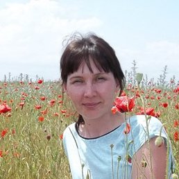 ������, ������, 49 ���