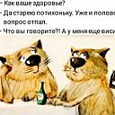 ���� ����, ������, 58 ��� - ��������� 28 ������ 2026 � ������ ������ ��������