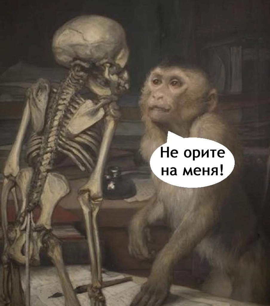 . - 6