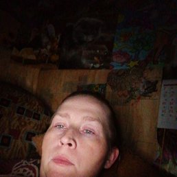 , 33, 
