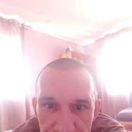 �������, ��������, 43 ����