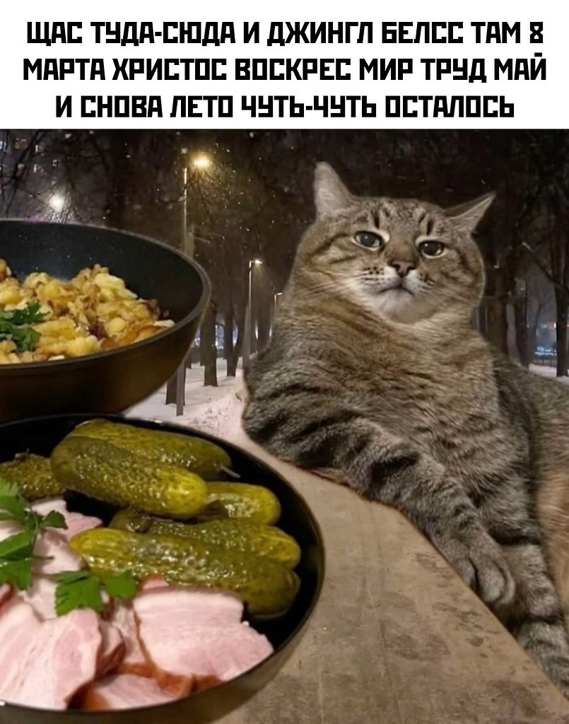    - 31  2024  21:34