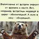 ���� ��������, ����� - ��������� 2 ���� 2026 � ������ ������ ��������