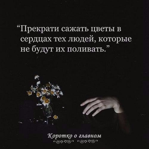 ������������ �� �������... - 27 ������ 2025 � 21:27