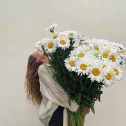 , 38 , 
