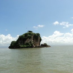 ������, ������