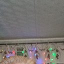 ���� ��������, ���������, 62 ���� - ��������� 19 ��� 2026 � ������ ���� ����������