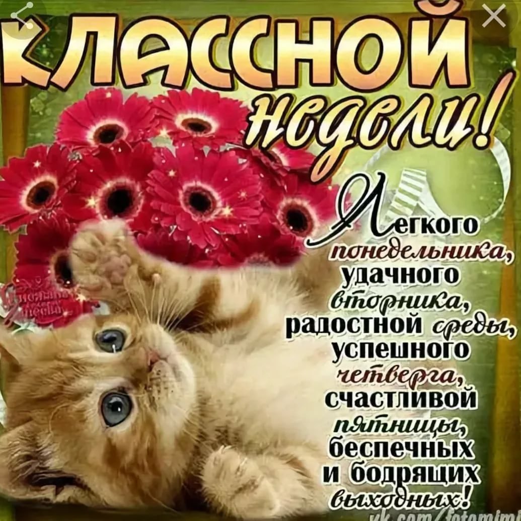 ���� - 15 ������ 2024 � 20:46 - 2