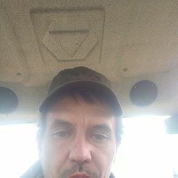 ����, �����������, 41 ���