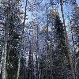 ���� �����, �������, 61 ��� - ��������� 6 ������ 2026